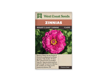 Sachet West Coast Seeds Benary’s Giant Carmine montrant une fleur rose carmin vue de face. Plusieurs rangs de pétales larges entourent un petit centre rose bordé de fleurs jaunes. Des feuilles vertes remplissent le fond de la photo. Le nom de la sélection apparaît sur le bandeau brun, au-dessus de l’image.