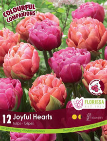 Harmonie florale Joyful Hearts ( Tulipa spp.) : des tulipes doubles roses et pêche. Le visuel Florissa présente la plante et son nom dans la partie inférieure de l’étiquette. La photographie occupe presque toute la surface, tandis que le bandeau du bas rassemble les indications du produit. Cette vue permet de reconnaître son apparence et de distinguer la variété présentée.