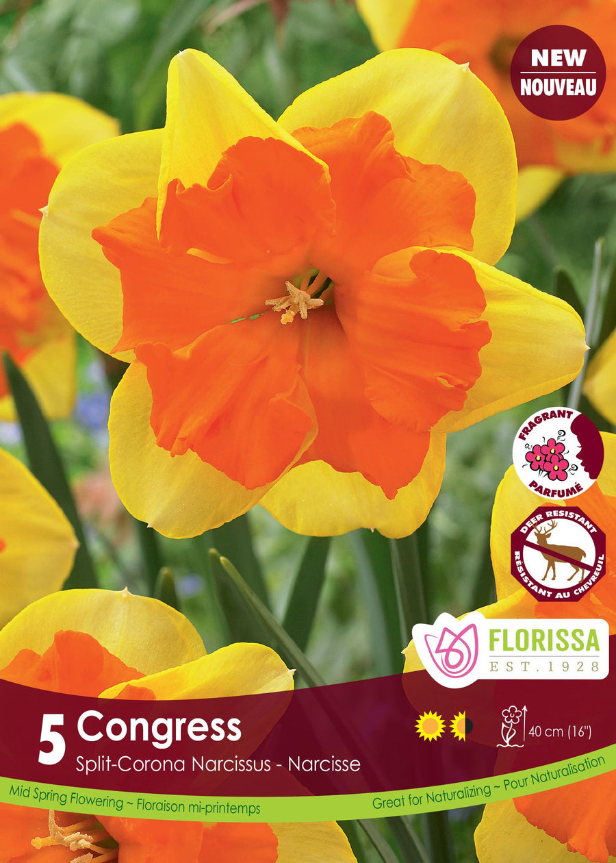 Narcissus Congress