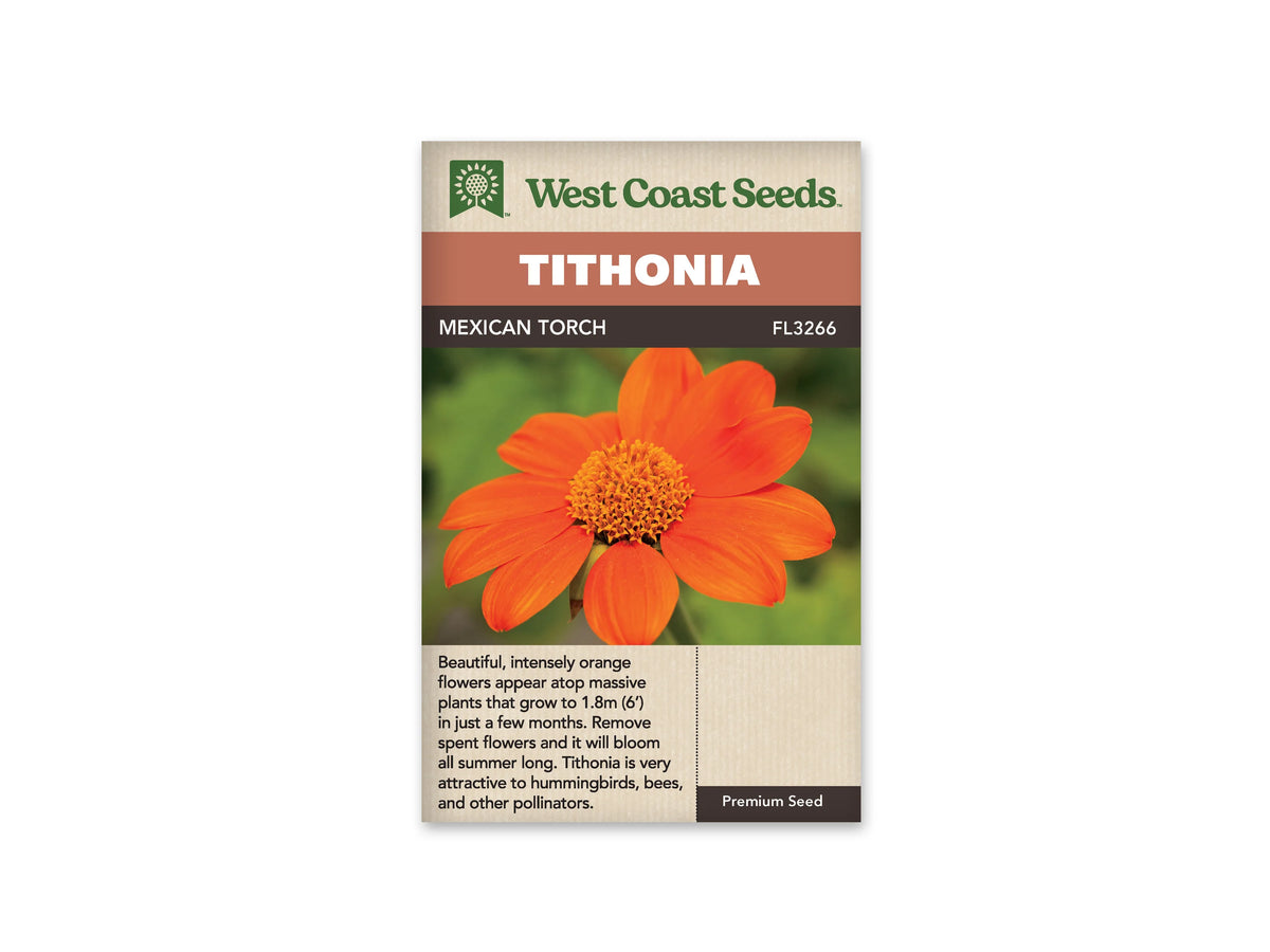 Le sachet West Coast Seeds montre en gros plan une fleur orange vif de tournesol du Mexique. Les larges pétales entourent un disque central composé de nombreuses petites fleurs orange doré. Le fond vert est flou et laisse la fleur occuper presque toute la photographie. Le bandeau porte le nom Mexican Torch et la référence FL3266.
