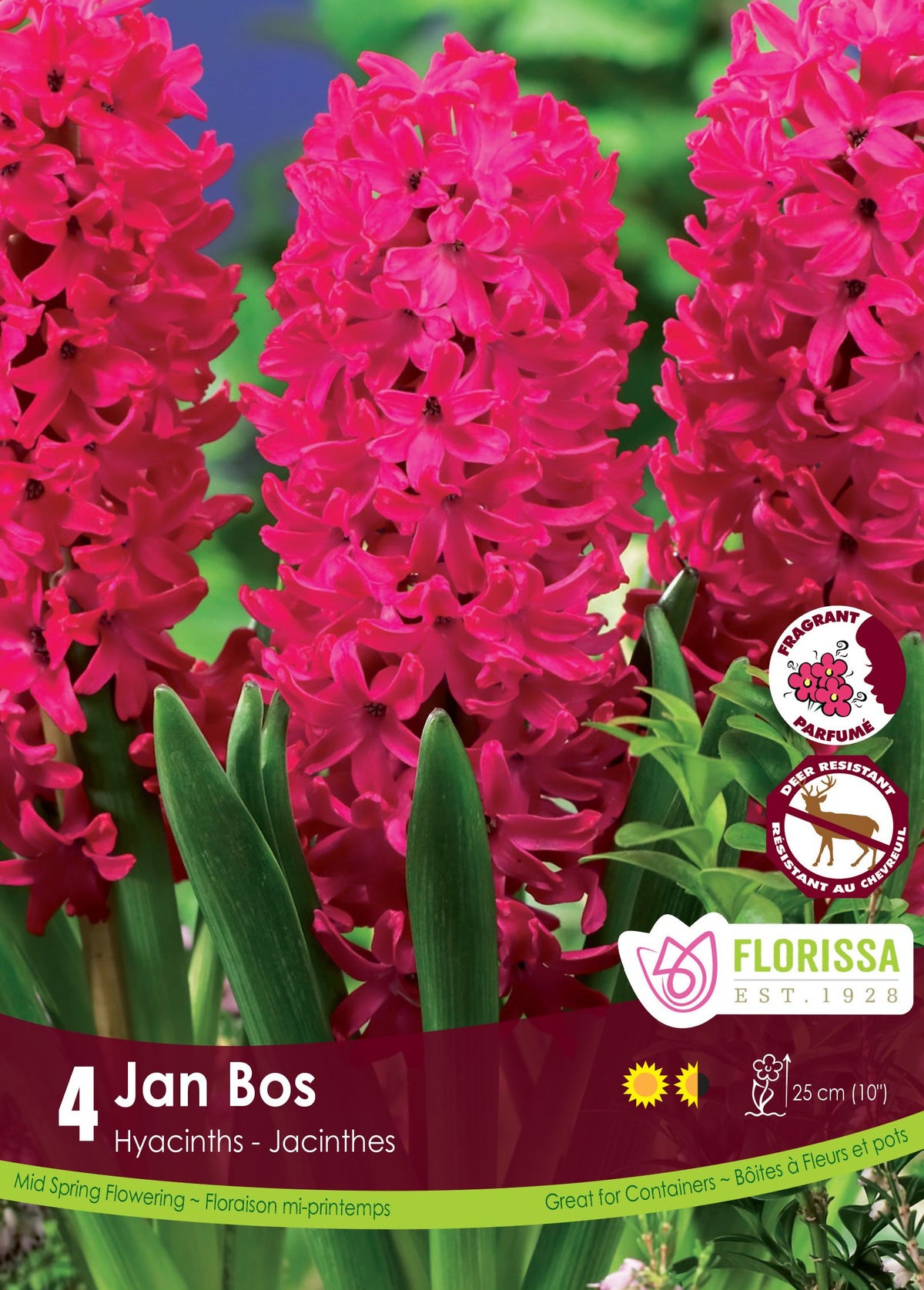 Hyacinth Jan Bos