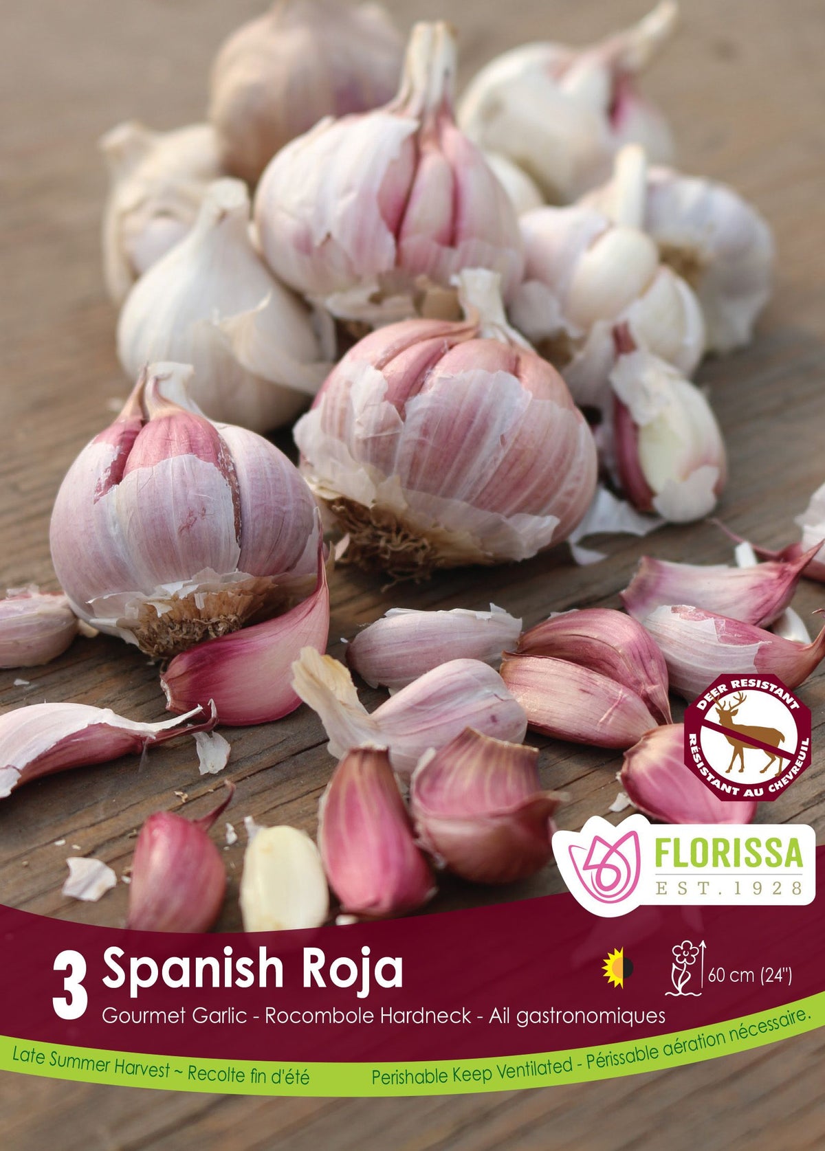 Spanish Roja garlic (<em>Allium sativum</em> ‘Spanish Roja’)