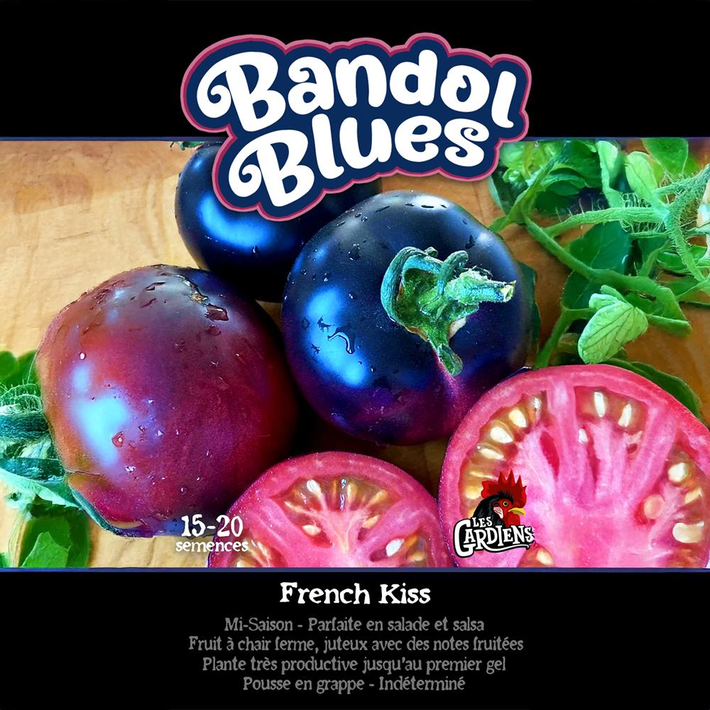 Bandol Blues tomato (<em>Solanum lycopersicum</em> ‘Bandol Blues’)