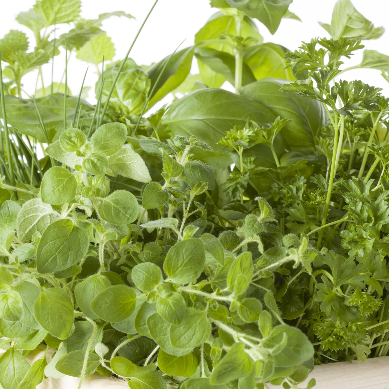 Disques de fines herbes (5 sortes)