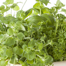 Disques de fines herbes (5 sortes)