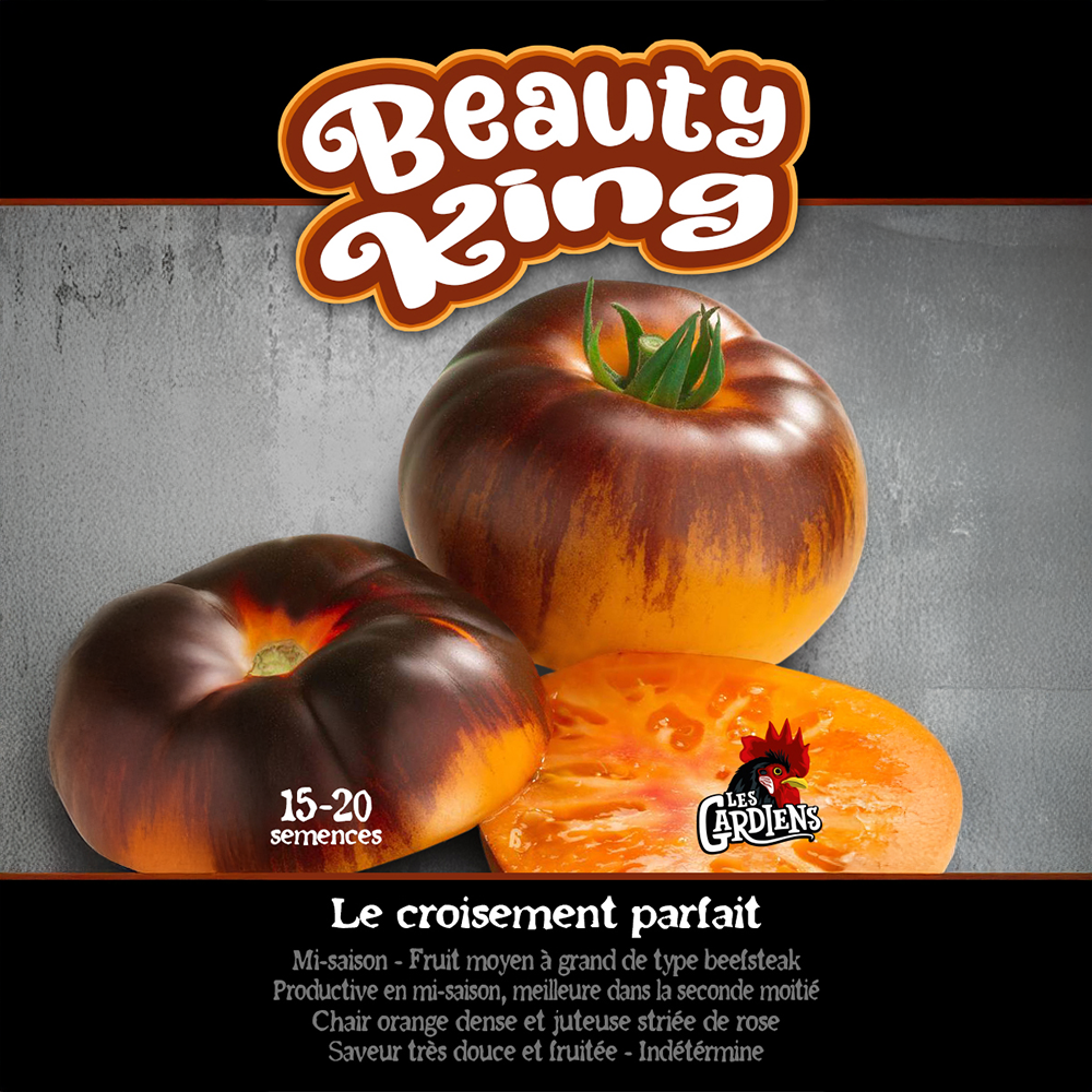 Beauty King tomato (<em>Solanum lycopersicum</em> ‘Beauty King’)