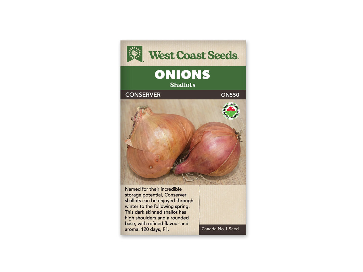 Deux échalotes entières reposent sur une surface de bois clair. Leurs enveloppes cuivrées rosées entourent des bulbes effilés vers le col, avec un sujet plus gros à gauche et un plus petit à droite. Le sachet biologique de West Coast Seeds porte l'inscription Conserver, correspondant à la référence commercialisée ici sous le nom Conservor.