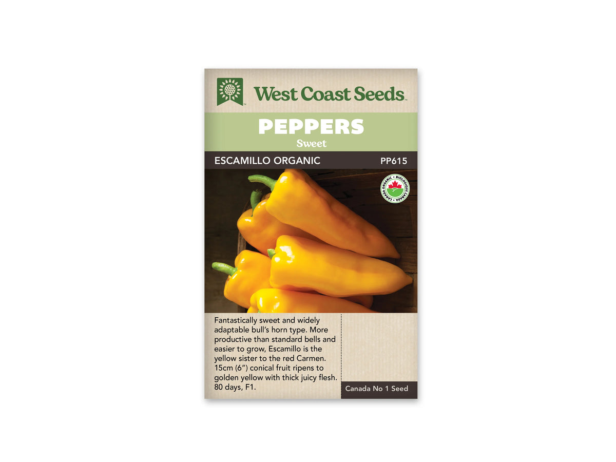 Sachet West Coast Seeds de poivron doux Escamillo biologique. La photo présente plusieurs longs fruits jaunes effilés, avec leurs pédoncules verts, sur un fond sombre. Deux poivrons se croisent au premier plan. Le bandeau vert porte Peppers et Sweet. Le nom Escamillo Organic, le code PP615 et un logo biologique sont visibles.