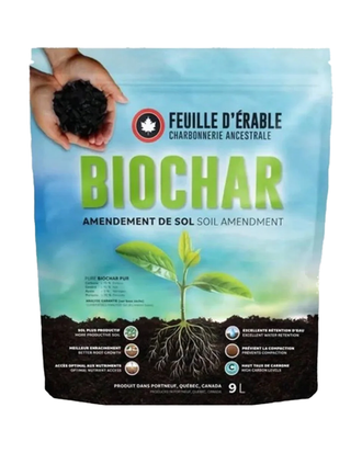 Biochar Feuille d'érable — photo sur fond blanc