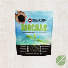 Biochar Feuille d'érable