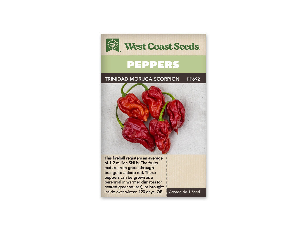Sachet Trinidad Moruga Scorpion de West Coast Seeds, avec une bande verte au-dessus de la photo. Plusieurs petits piments rouges, très ridés et lobés, portent des queues vertes. Ils sont posés sur un fond clair grisâtre. Le nom est imprimé en noir en haut; une zone beige avec du texte occupe le bas du sachet.