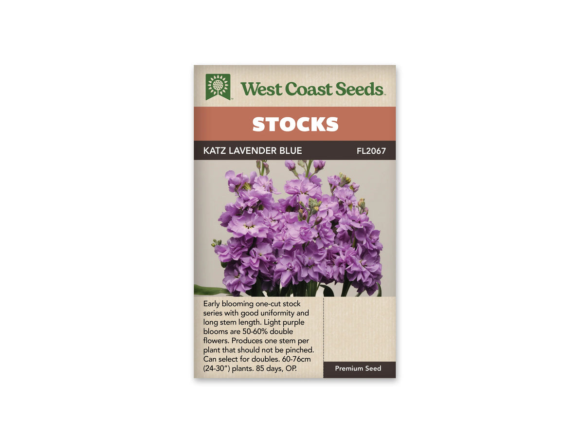 Des épis de giroflées lavande remplissent la photographie du sachet. Les fleurs ouvertes sont serrées le long des tiges, avec des boutons pourpres et verts au sommet. Quelques feuilles allongées apparaissent à la base sur un fond clair. Le sachet de West Coast Seeds porte le nom Katz Lavender Blue et la référence FL2067.
