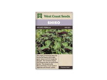 Sachet West Coast Seeds portant les noms Shiso et Hojiso Perilla. La photo montre une touffe de feuilles vertes, très dentées, avec des zones et des revers pourpres visibles entre les pousses. Le feuillage remplit l’image centrale. Le nom Shiso apparaît en blanc sur un bandeau mauve, sous le logo vert et au-dessus du nom de la variété.