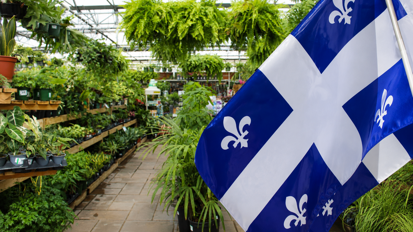 Ouvert pour la Saint-Jean — venez fleurir votre journée avec nous.