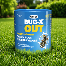 Wilson Bug X Out Nematodes for Hairy Chinch Bugs