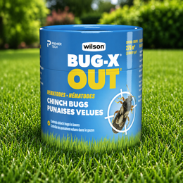 Wilson Bug X Out Nematodes for Hairy Chinch Bugs