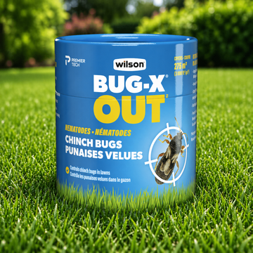 Nématodes Bug X Out Wilson contre punaises velues