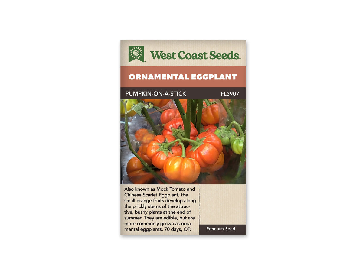 Le sachet West Coast Seeds montre plusieurs petits fruits côtelés orange et rouges fixés à des tiges vertes. Quelques fruits encore verts apparaissent sur le côté droit, avec leurs calices en étoile. Les fruits arrondis rappellent de petites citrouilles et se regroupent autour des branches. Le bandeau indique Pumpkin-on-a-Stick et la référence FL3907.
