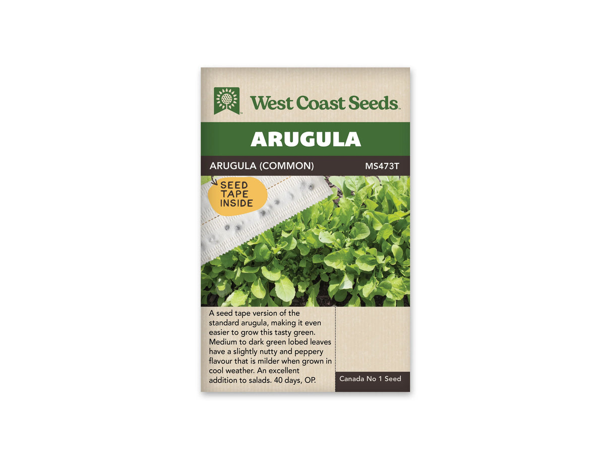 Sachet West Coast Seeds de roquette commune en ruban, présenté de face sur fond blanc. La référence MS473T et la mention anglaise Arugula Common apparaissent sous le bandeau vert. Une illustration de ruban blanc portant des graines traverse la photographie de jeunes feuilles vertes. Une pastille jaune annonce le ruban à l’intérieur. Des renseignements de culture sont imprimés en anglais dans la partie beige inférieure.