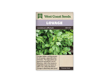 Sachet de livèche West Coast Seeds présenté de face sur fond blanc. La photographie montre un feuillage vert dense, formé de feuilles découpées aux lobes pointus. Le bandeau mauve porte le nom LOVAGE, et le nom Levisticum officinale apparaît sur la bande foncée. Une description en anglais occupe la partie beige au-dessous de l’image.