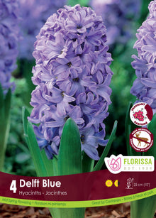 Jacinthe Delft Blue