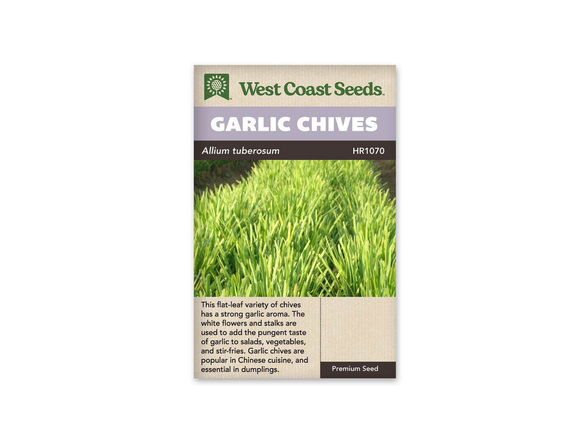 Sachet de ciboulette à l’ail West Coast Seeds présenté de face sur fond blanc. La photo centrale montre une touffe dense de feuilles vertes, longues et étroites, avec de jeunes tiges dressées. Le bandeau mauve porte les mots GARLIC CHIVES. Une description en anglais occupe la partie beige inférieure, sous la photo du feuillage.