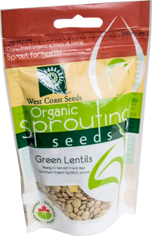 Sachet West Coast Seeds à partie supérieure rouge, avec une étiquette vert jaune portant le nom anglais Green Lentils. La fenêtre transparente laisse voir des graines aplaties gris vert, avec quelques nuances jaunes. Le bas blanc de l'emballage présente le logo biologique canadien et les indications de germination. Le délai de 4 à 5 jours est visible sur le devant.