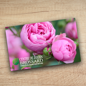 In-store gift card