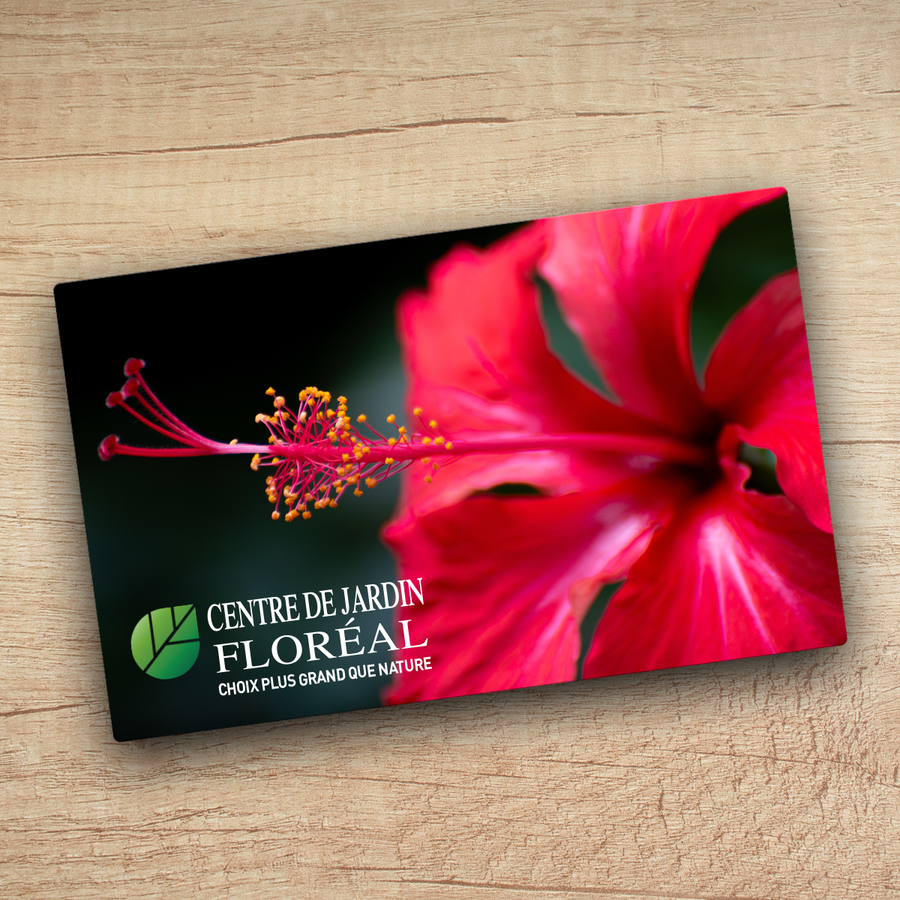 In-store gift card