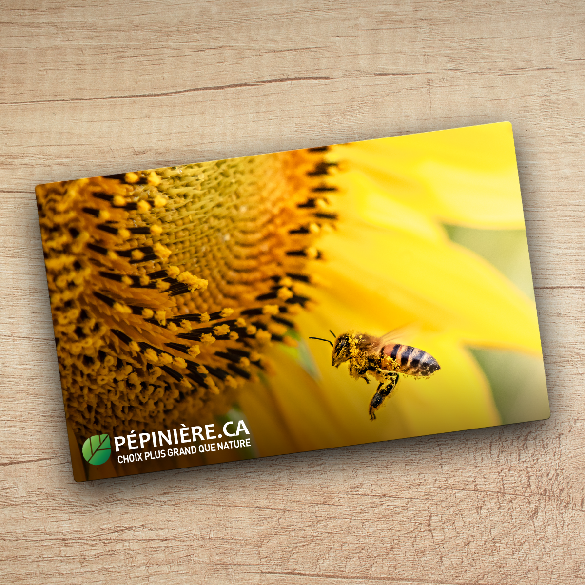 Carte-Cadeau Pépinière.ca