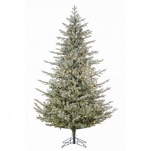 Sapin Saint-Sauveur