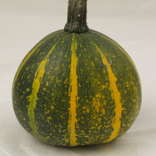 Citrouille 'Kakai' bio
