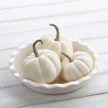 Pumpkin Casperita F1 White