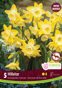 Narcisse ‘Hillstar’ ( Narcissus ) : des narcisses jaunes à centre blanc crème. Le visuel Florissa présente la plante et son nom dans la partie inférieure de l’étiquette. La photographie occupe presque toute la surface, tandis que le bandeau du bas rassemble les indications du produit. Cette vue permet de reconnaître son apparence et de distinguer la variété présentée.