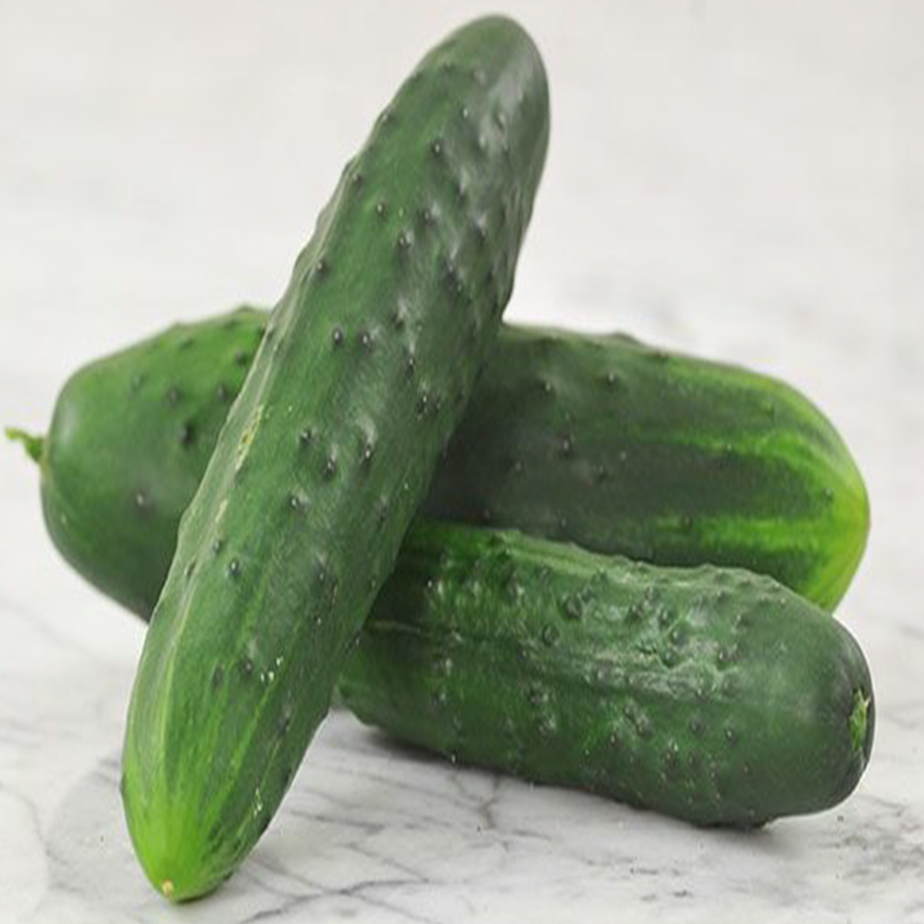 Organic 'Marketmore' Cucumber