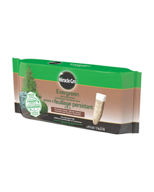 Bâtonnets d’engrais Miracle-Gro® 12-6-12 pour conifères — photo sur fond blanc