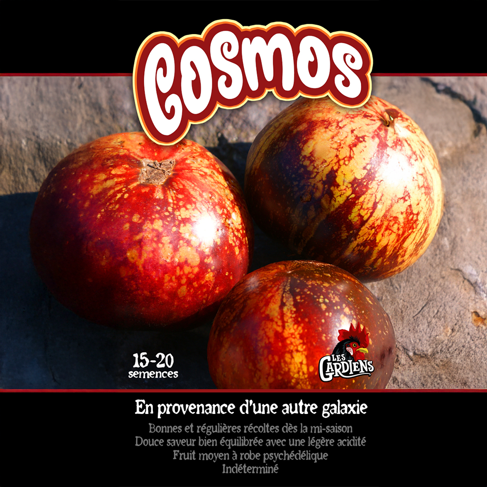 Cosmos tomato (<em>Solanum lycopersicum</em> ‘Cosmos’)