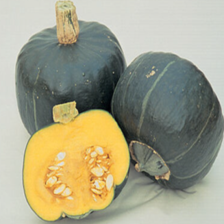Organic Buttercup Squash