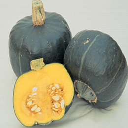 Courge 'Buttercup' bio