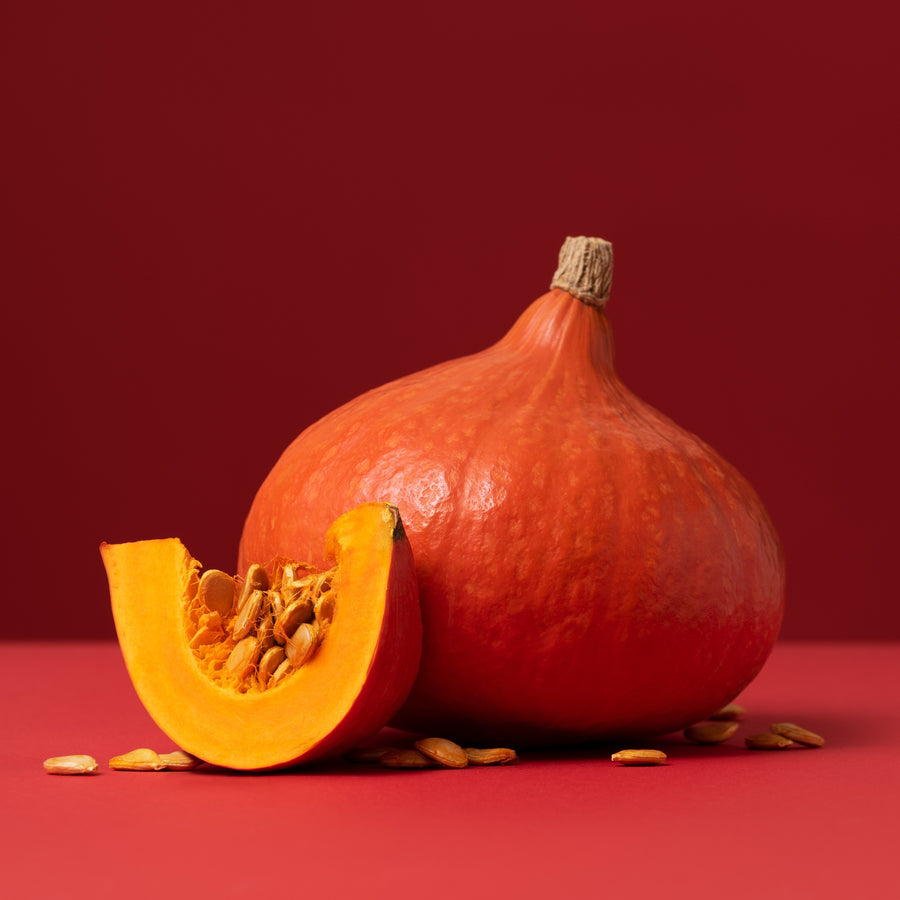 Courge 'Uchiki Kuri'