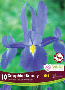 Iris hollandais ‘Sapphire Beauty’ ( Iris × hollandica ) : un iris bleu à marque jaune sur les sépales. Le visuel Florissa présente la plante et son nom dans la partie inférieure de l’étiquette. La photographie occupe presque toute la surface, tandis que le bandeau du bas rassemble les indications du produit. Cette vue permet de reconnaître son apparence et de distinguer la variété présentée.