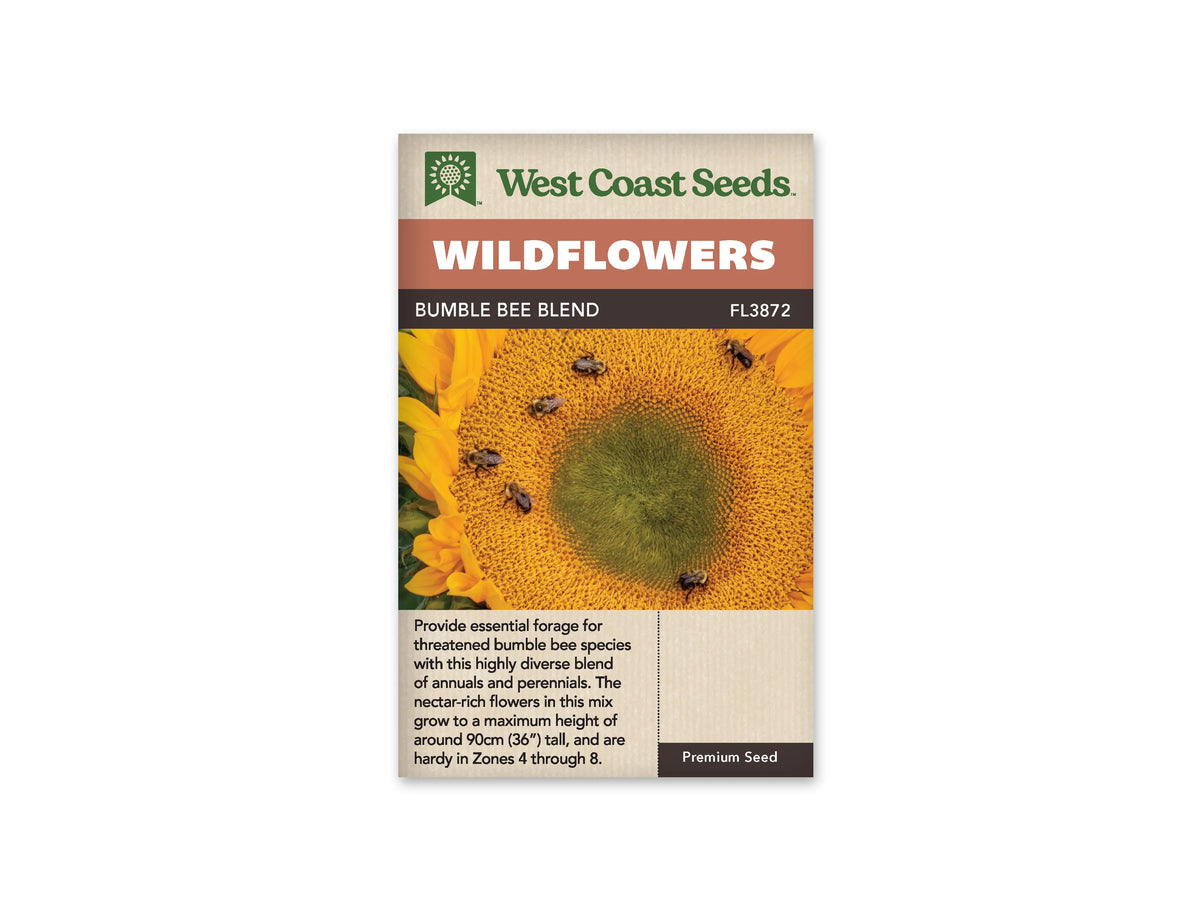 Sachet West Coast Seeds Bumble Bee Blend illustré d’un tournesol en gros plan. Plusieurs insectes sombres et velus se trouvent sur le large disque jaune, autour d’un centre encore vert. Les pétales jaunes bordent la gauche et le haut de la photo. Le cadrage montre surtout la texture serrée des petites fleurs du capitule.