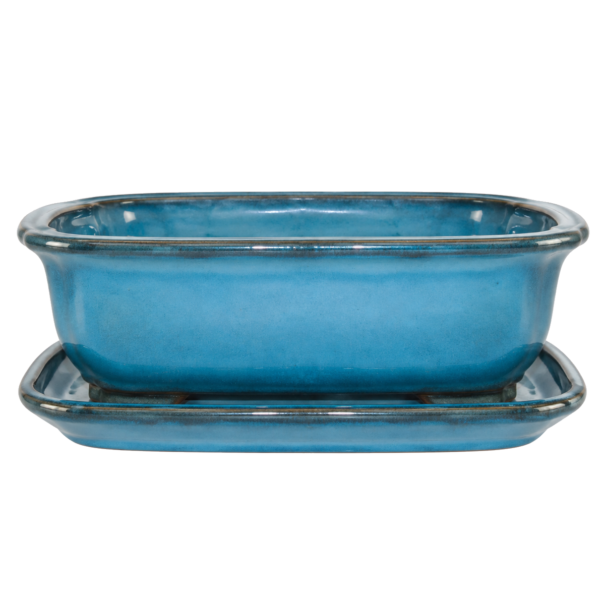 Pot à bonsaï bleu sarcelle de 8 po avec soucoupe sur fond blanc
