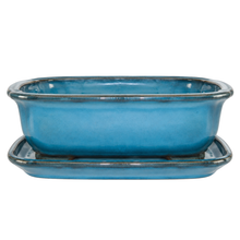 Pot à bonsaï bleu sarcelle de 8 po avec soucoupe sur fond blanc