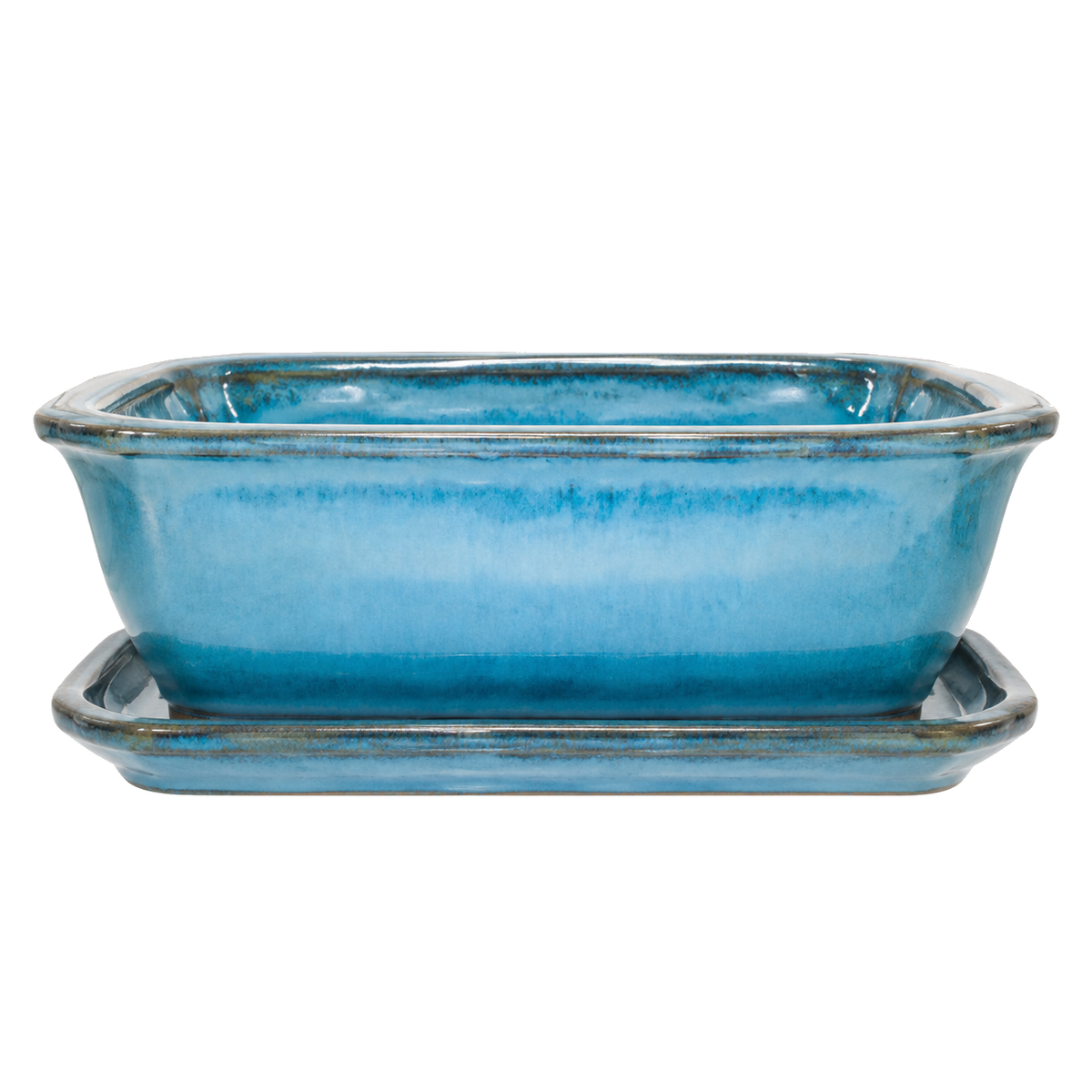 Grand pot à bonsaï bleu sarcelle de 12 po avec soucoupe sur fond blanc
