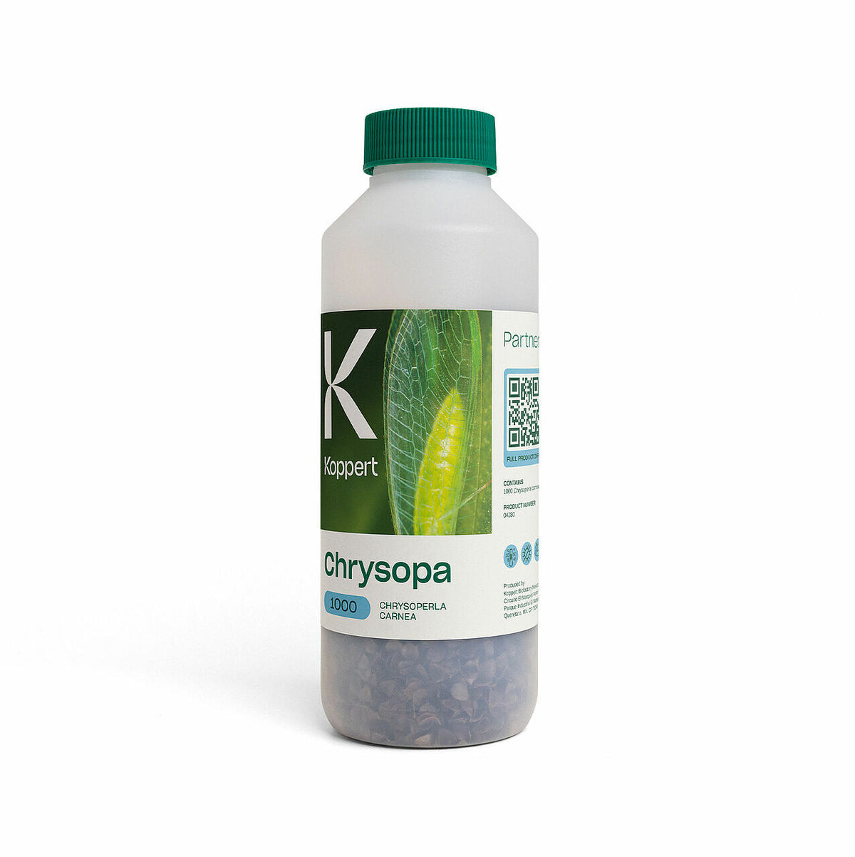 CHRYSOPA Koppert — Chrysoperla carnea
