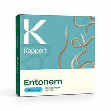 ENTONEM Koppert — Steinernema feltiae