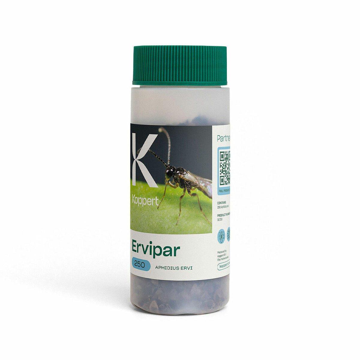 ERVIPAR Koppert — Aphidius ervi