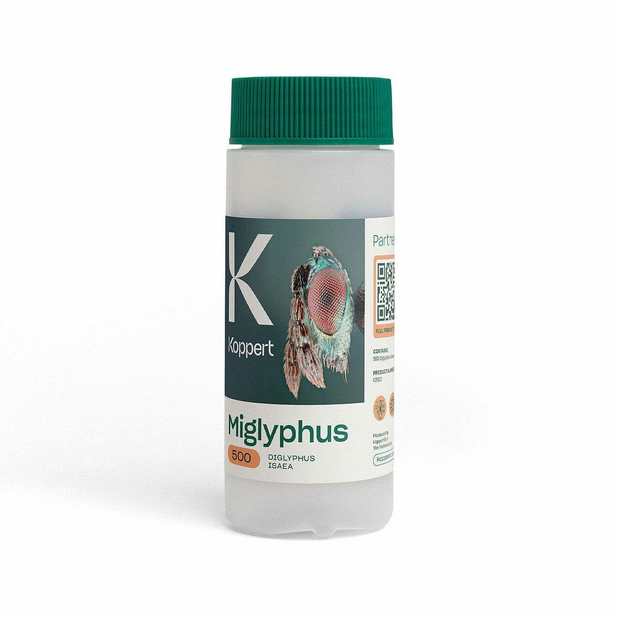 MIGLYPHUS Koppert — Diglyphus isaea