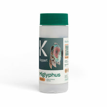 MIGLYPHUS Koppert — Diglyphus isaea